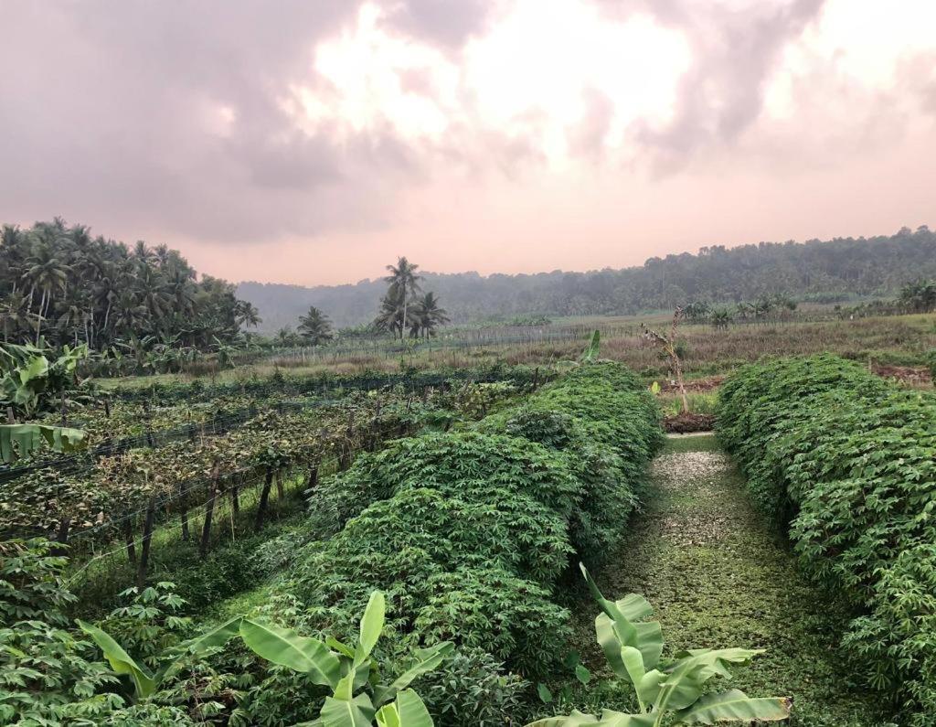 Villa Anandha Thiruvananthapuram Zewnętrze zdjęcie