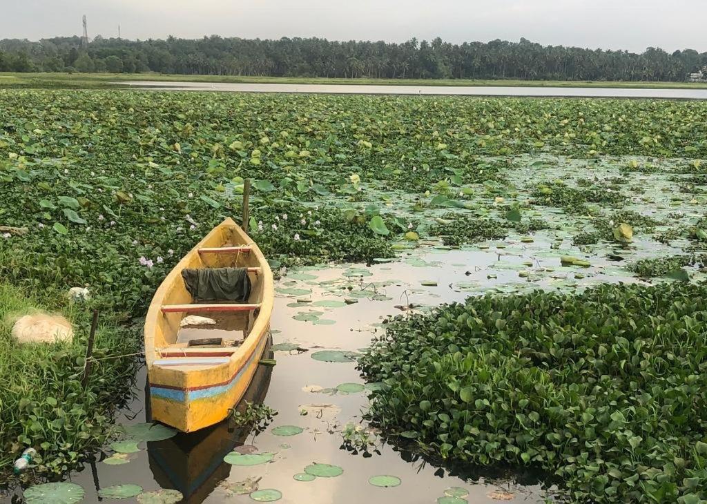 Villa Anandha Thiruvananthapuram Zewnętrze zdjęcie